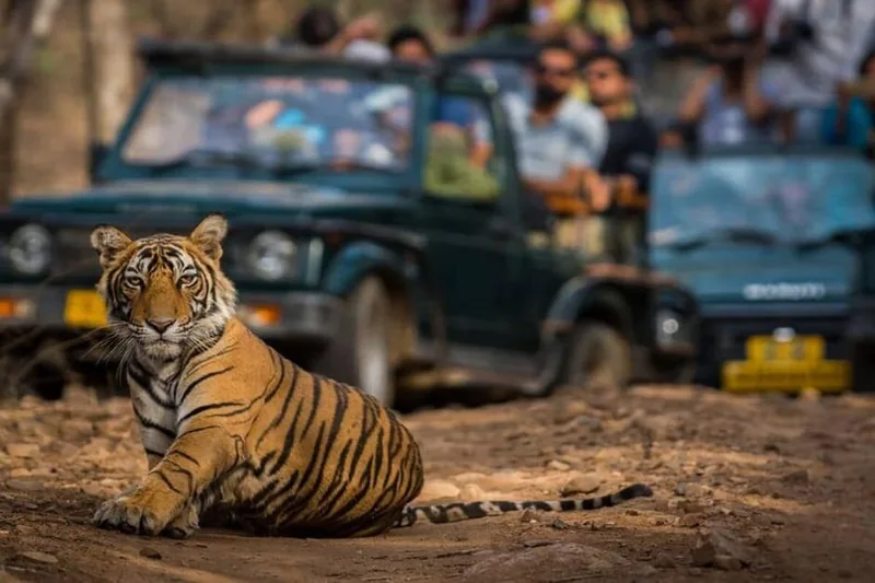 Golden Triangle & Ranthambore in 4 Days