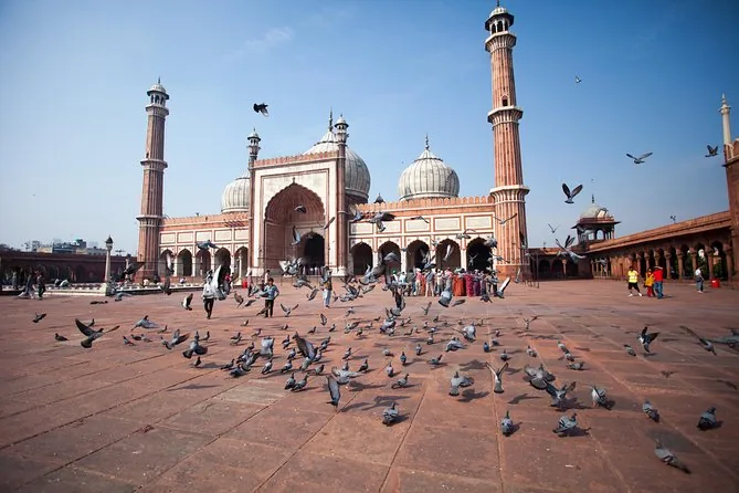 The courtyard of Jama Masjid in Delhi with pigeons in the foreground